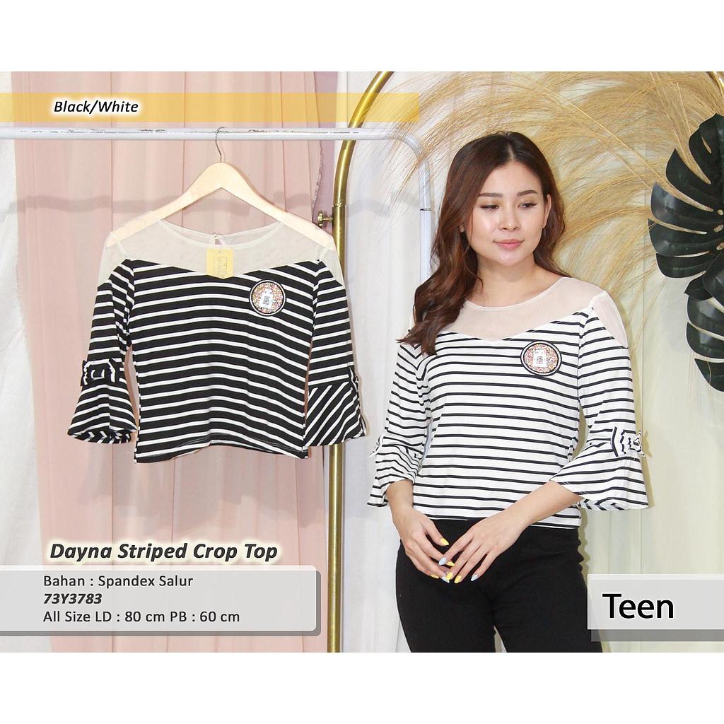 Dayna Striped Crop Top