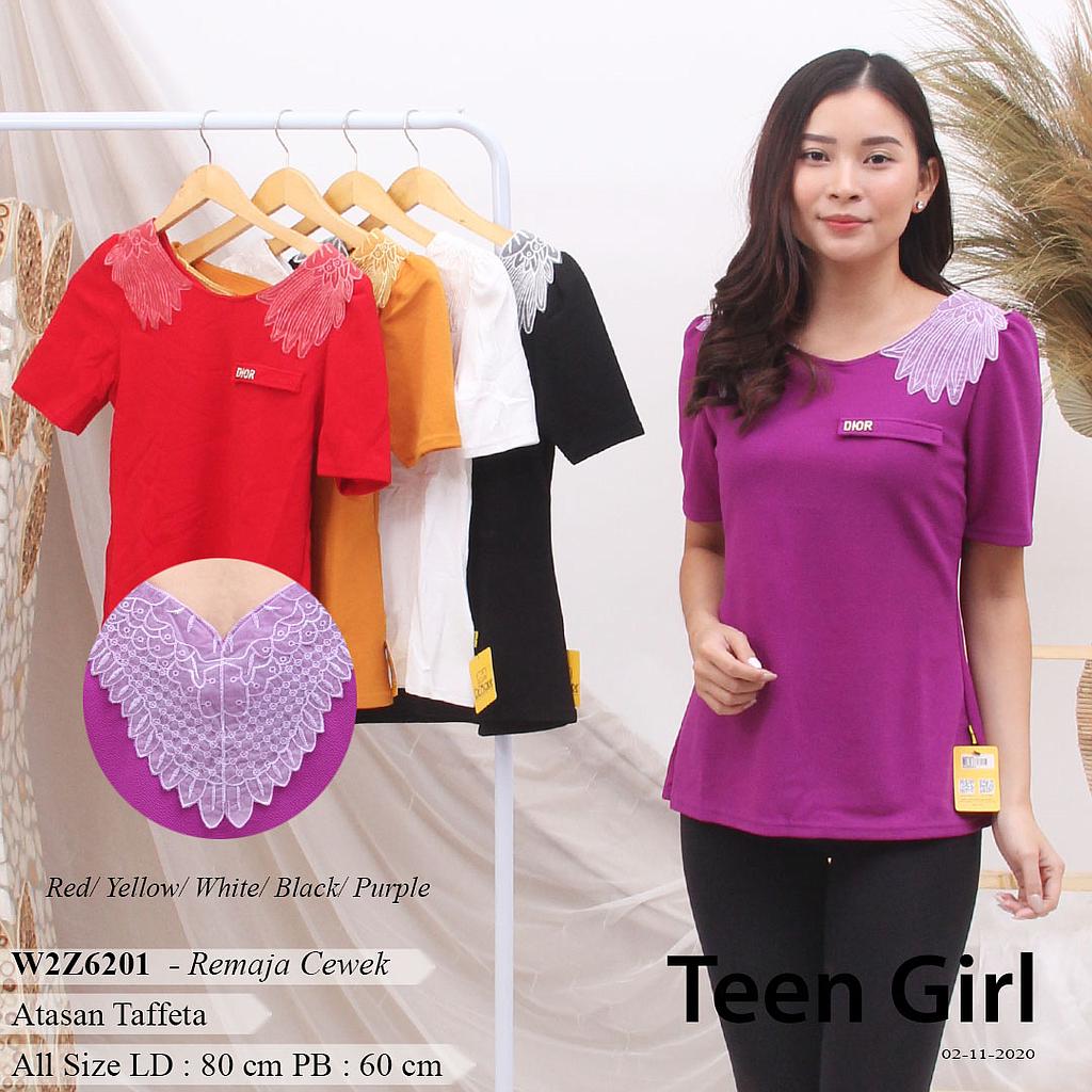 BLOUSE APLIKASI SAYAP+PLAT BESI