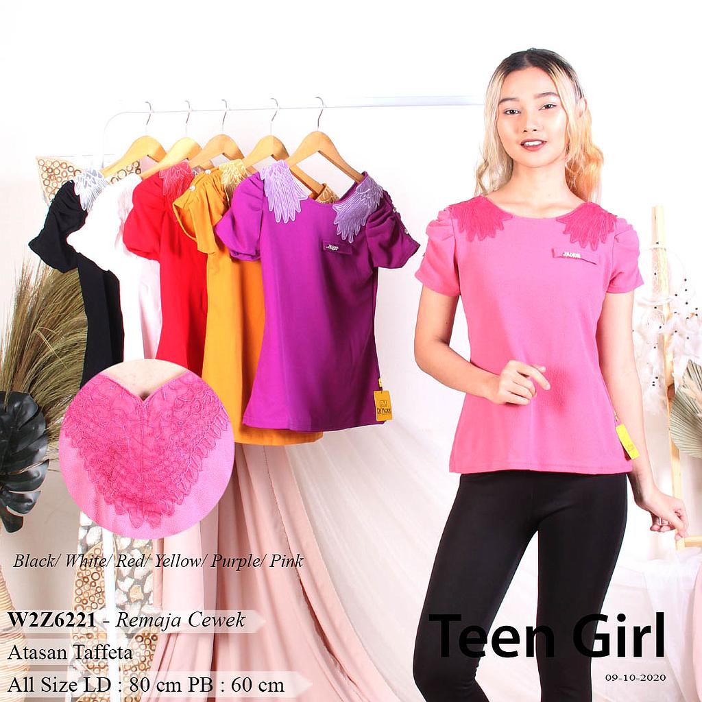 BLOUSE APLIKASI SAYAP LENGAN KC+PLAT BES