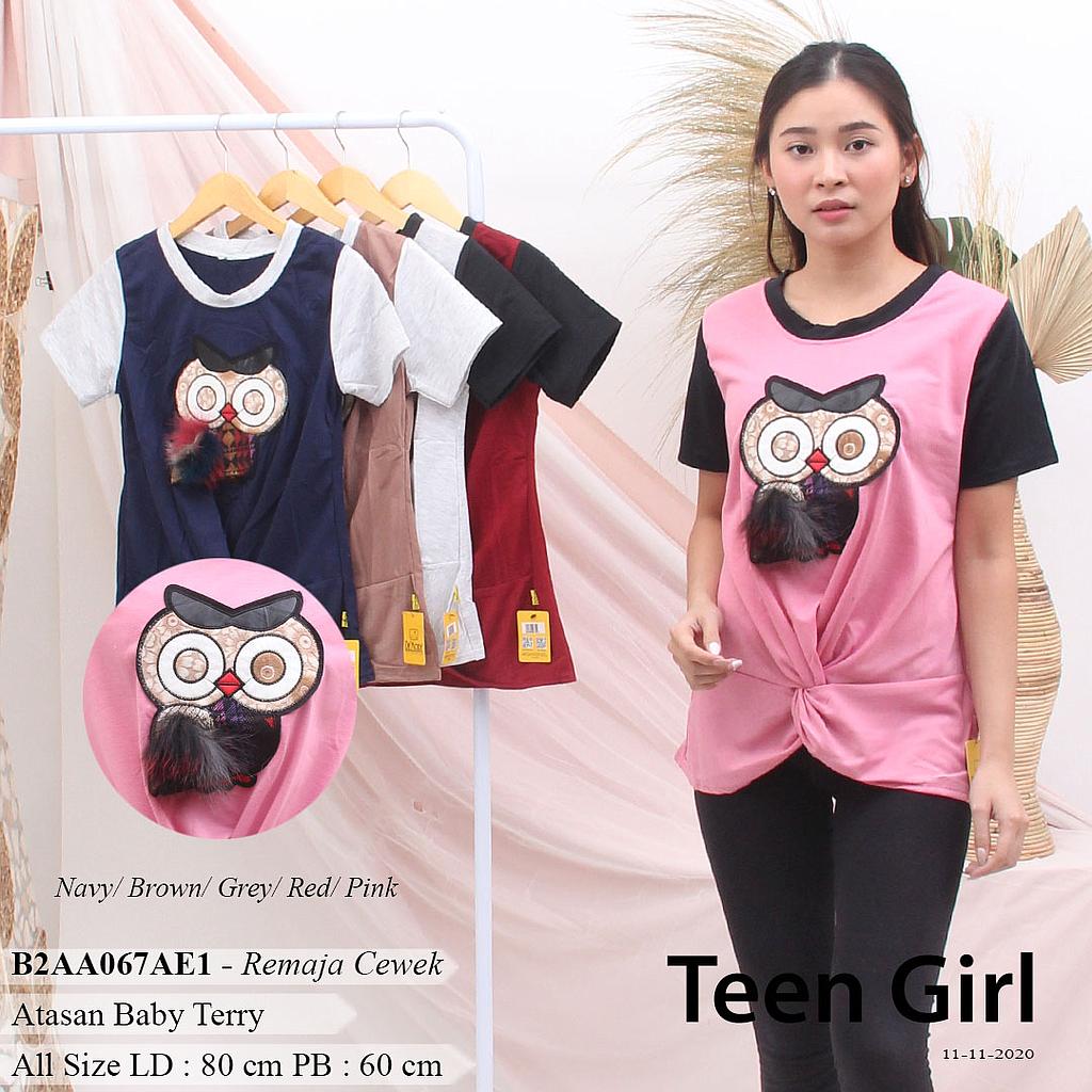 MARION BLOUSE PLINTIR + APLIKASI OWL