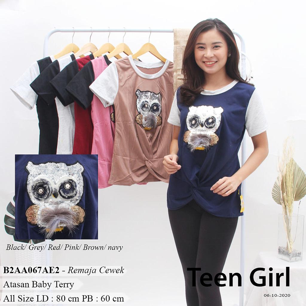 MARION BLOUSE PLINTIR + APLIKASI OWL