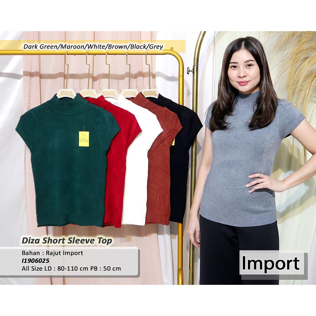 Devina turtle neck top