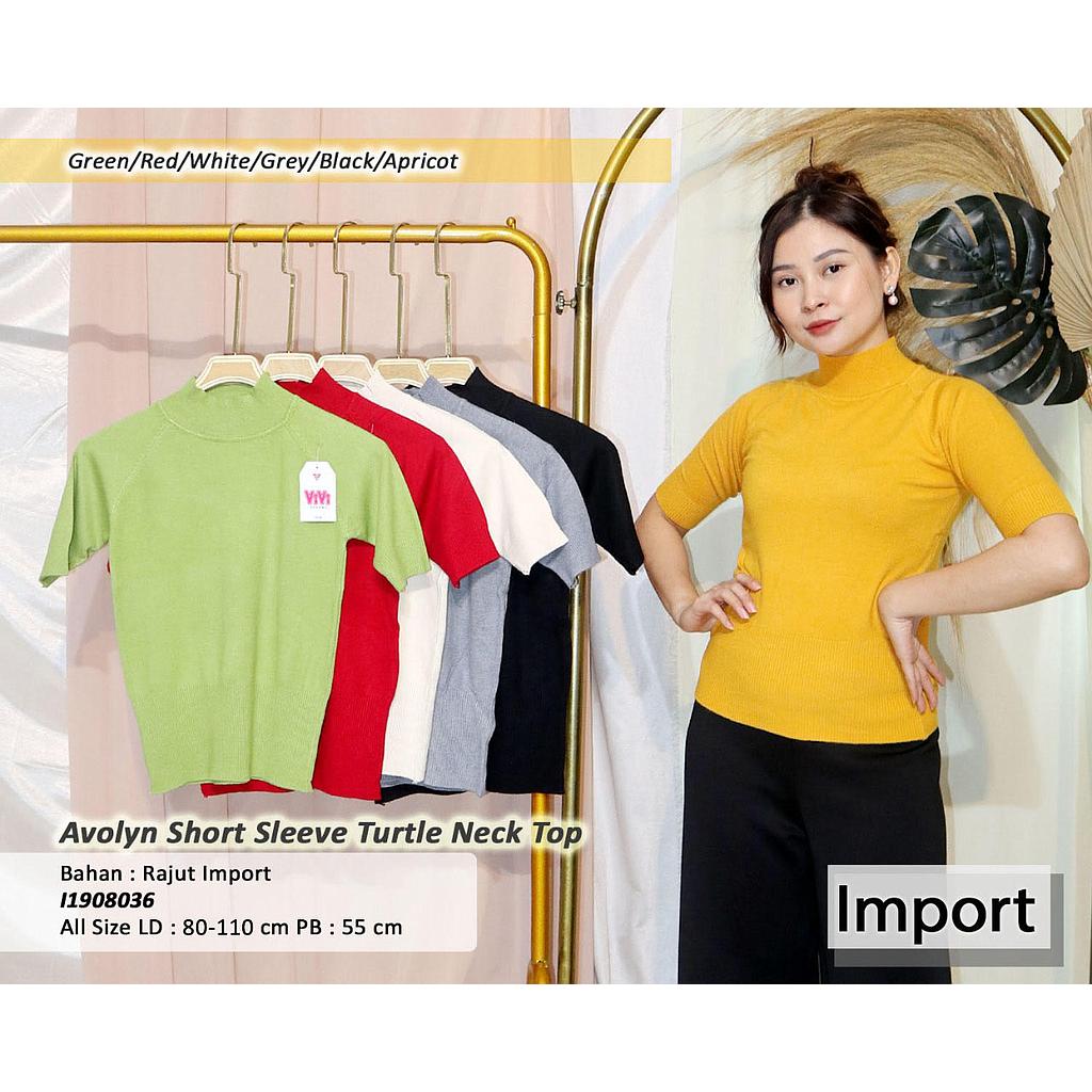 Avolyn Sleeve Turtle Neck top