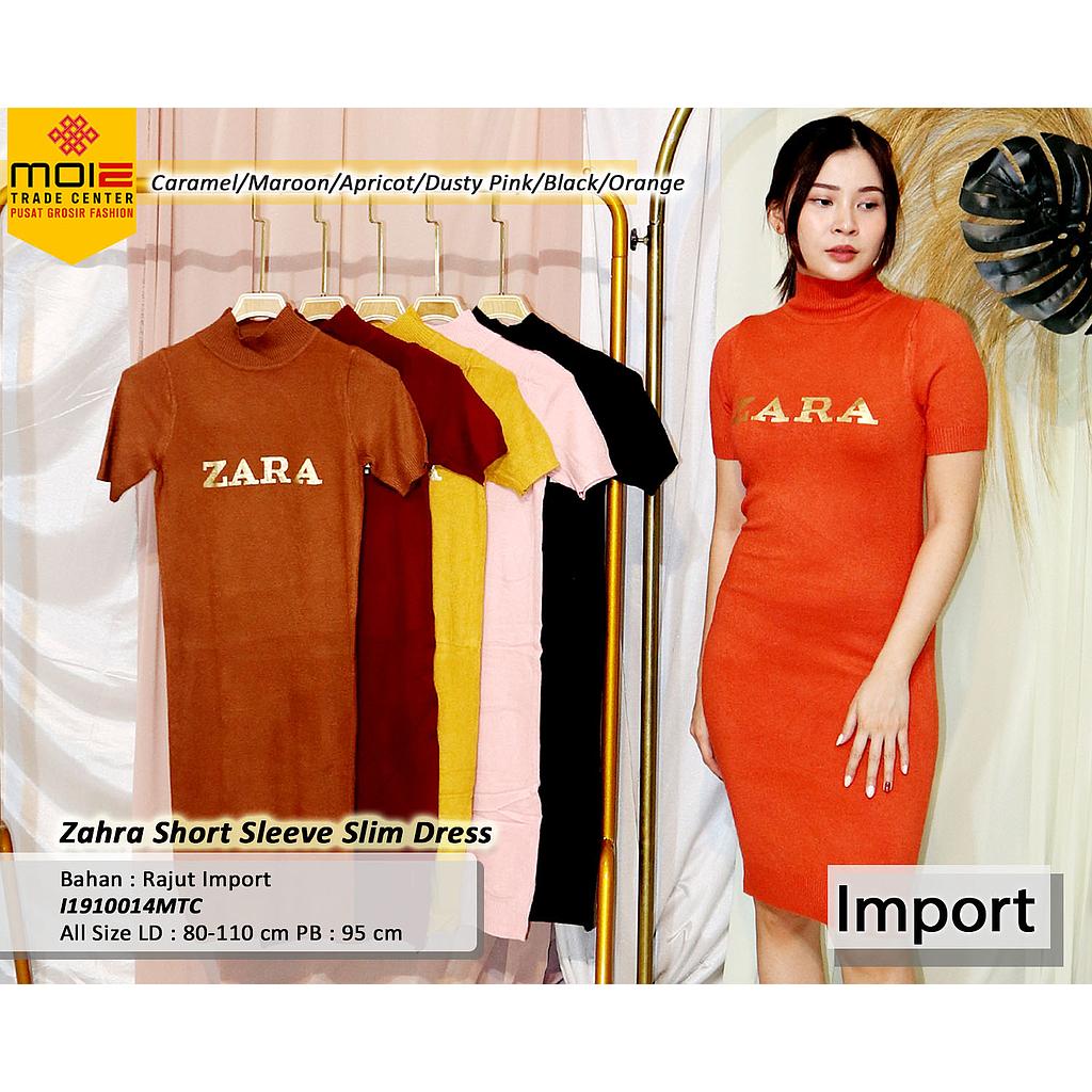 Zara turtle  dress
