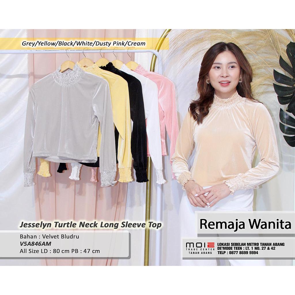 Jesslyn Turtle neck long sleeve Top