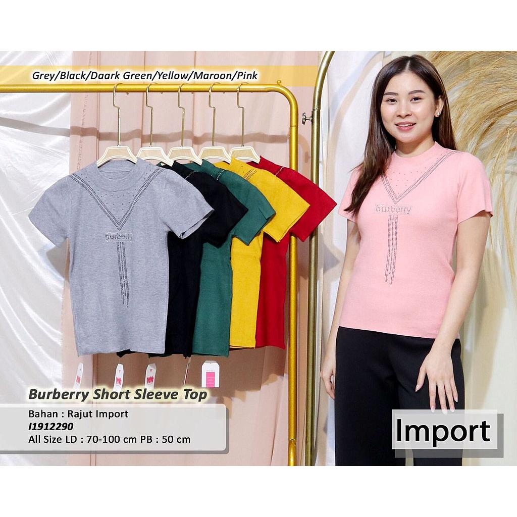 Bueberry Short Sleeve Top