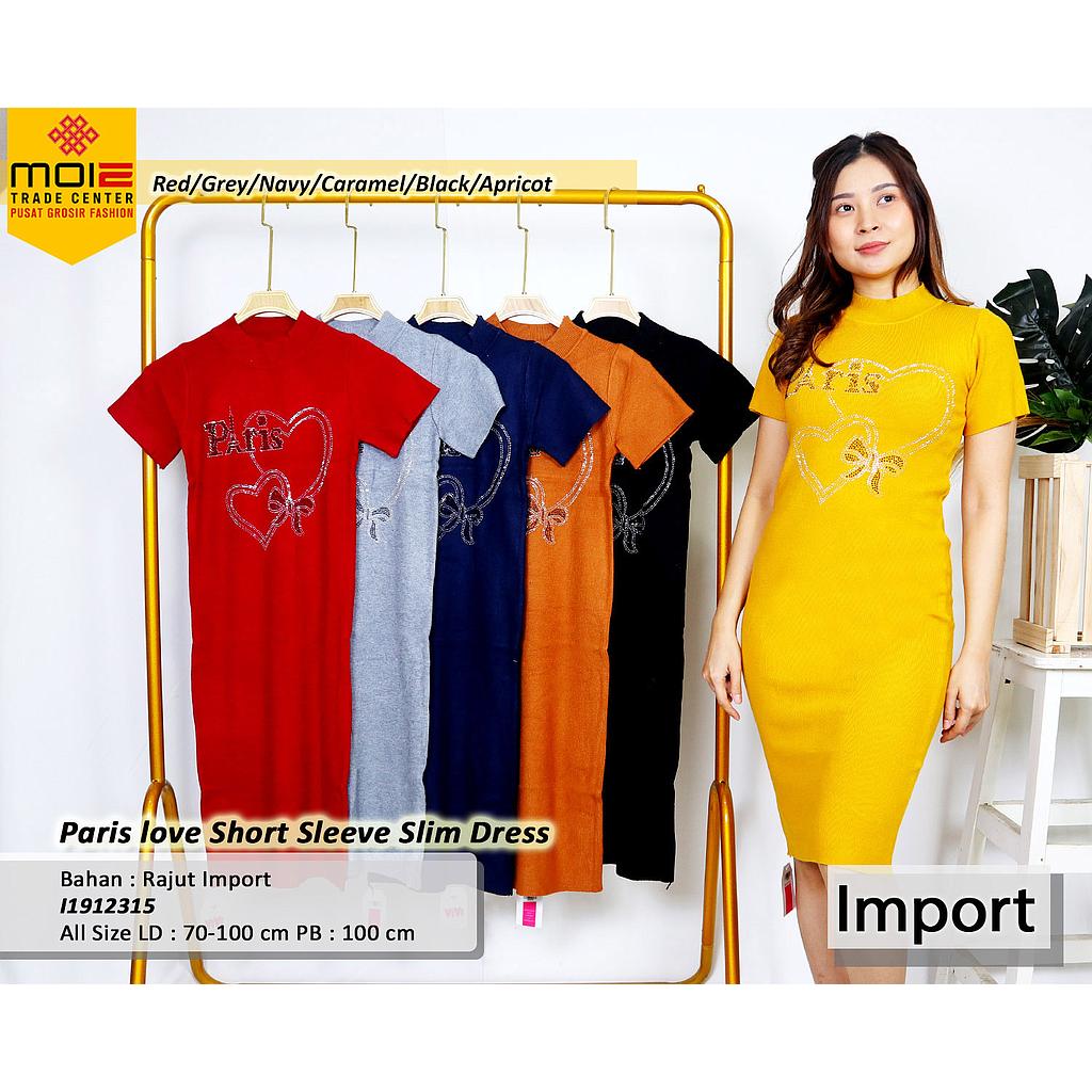 Paris love short sleeve slim dress