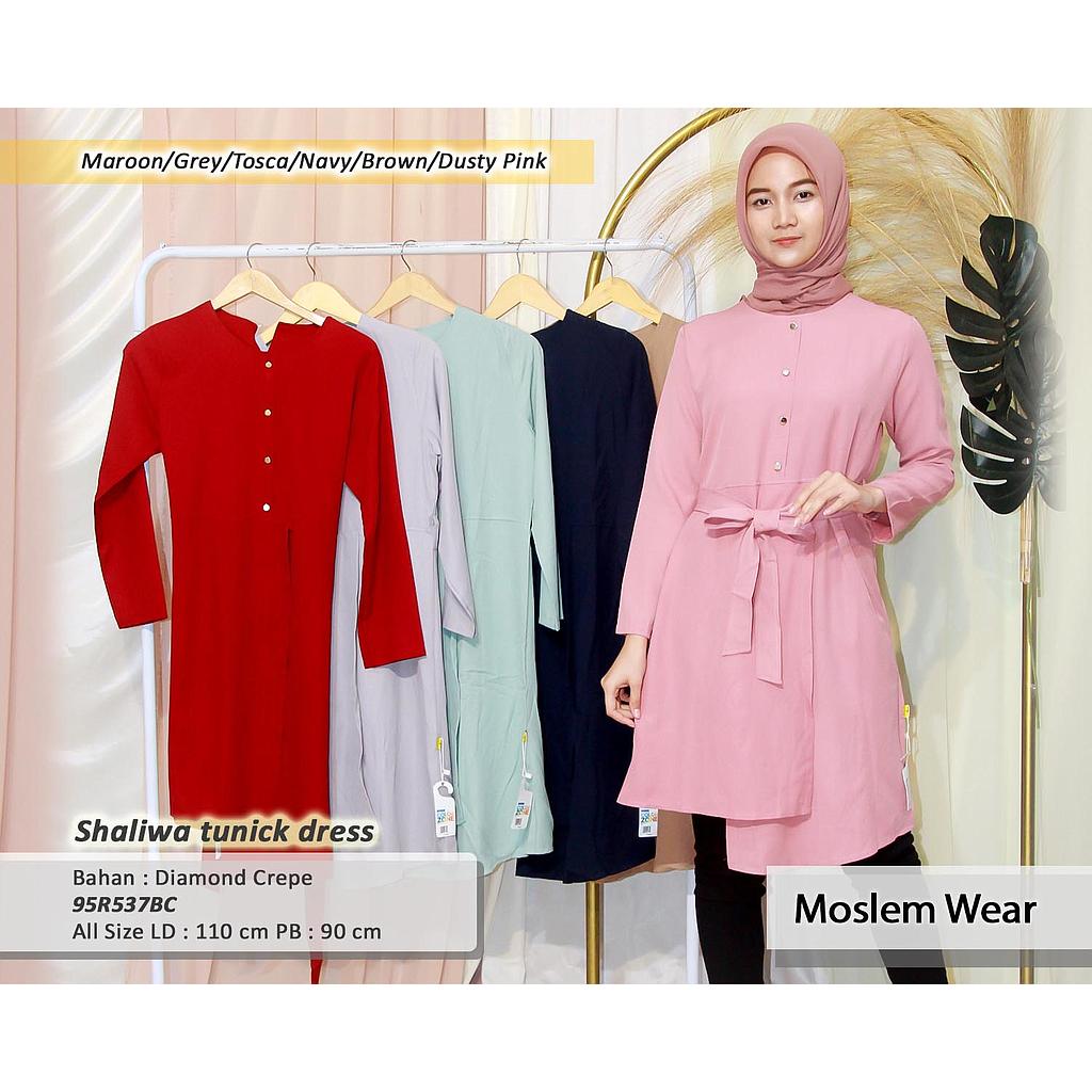 Shaliwa Tunick dress