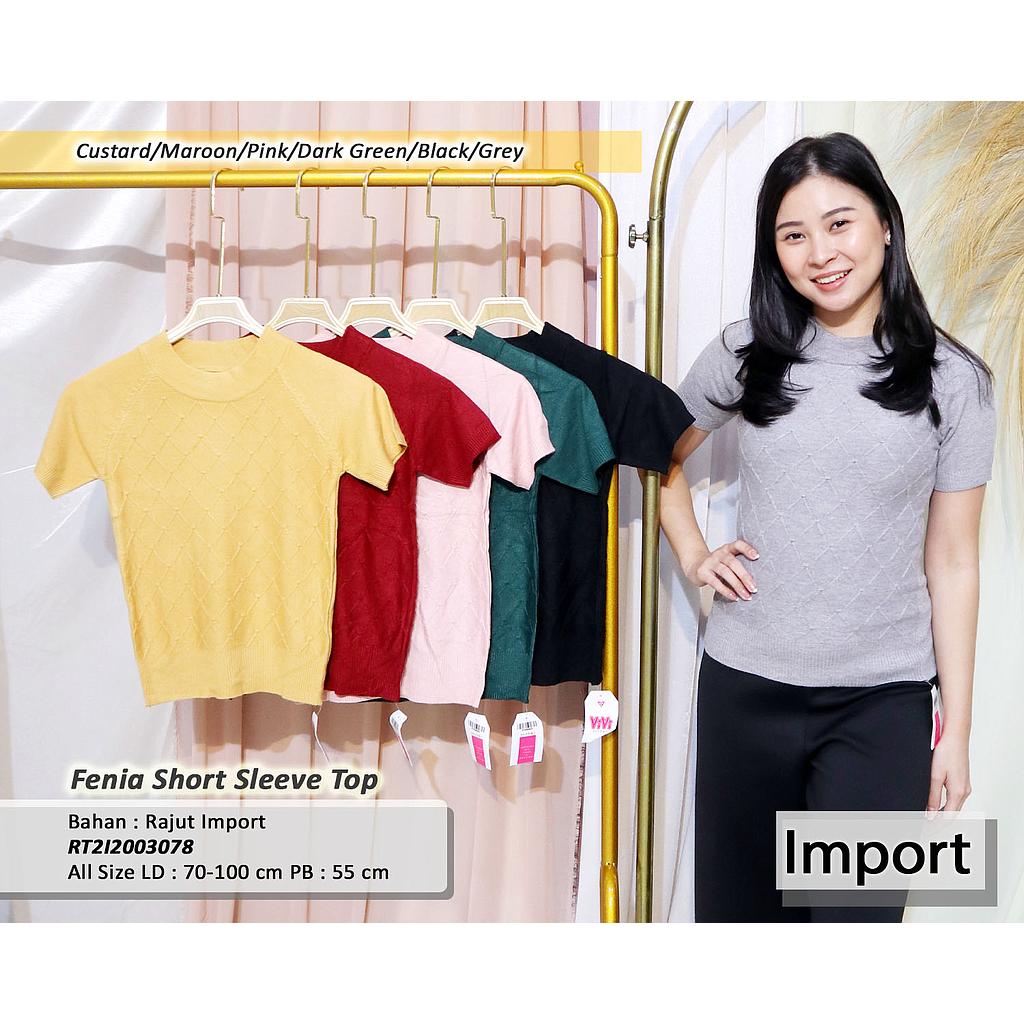 Fenia short sleeve top