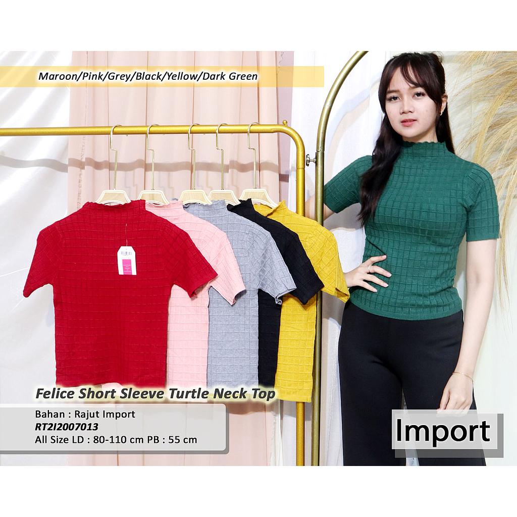 Felice short sleeve turtle Neck top