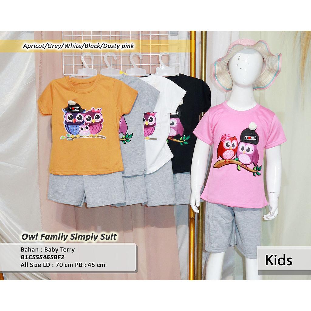 Owl Family simply suit