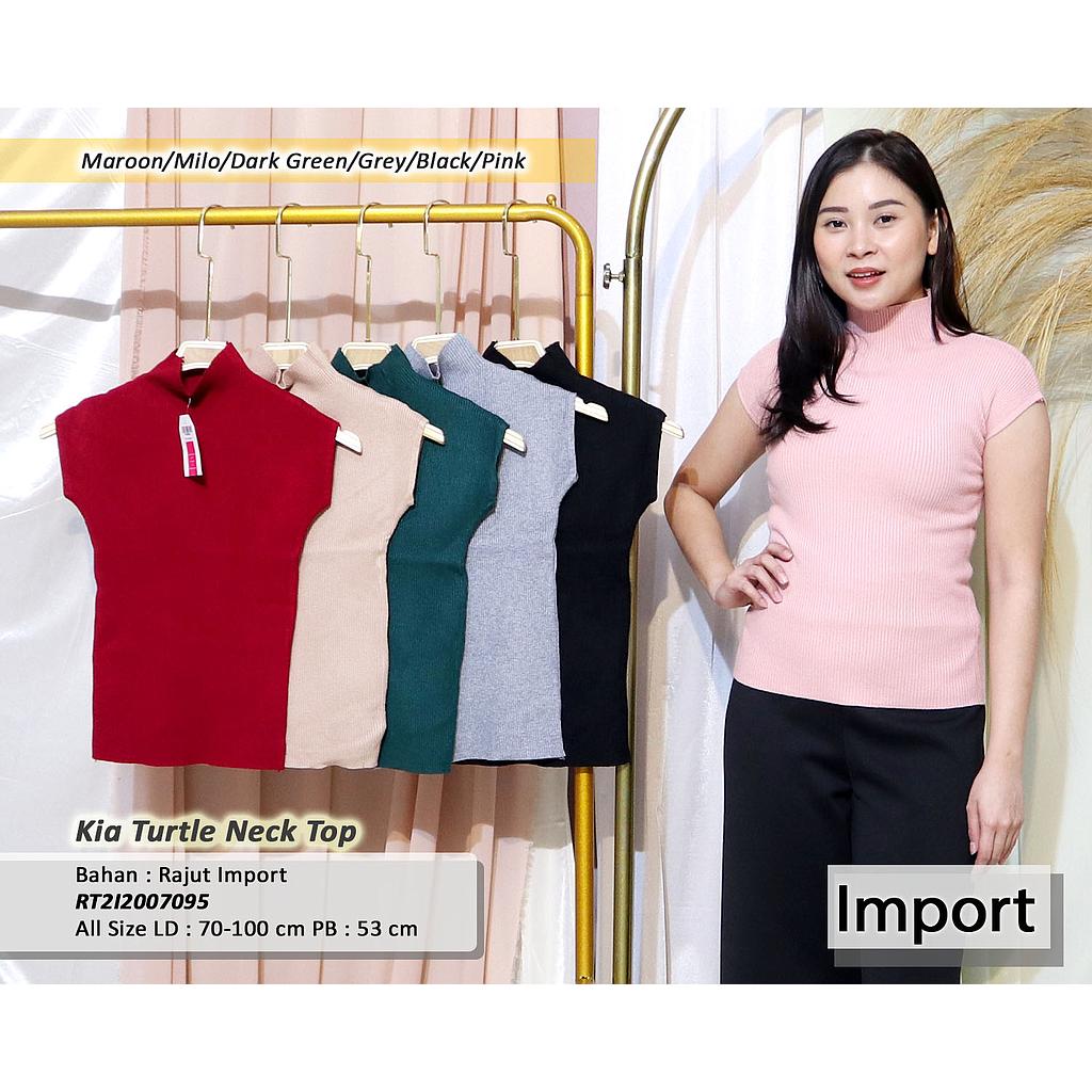 Bevina Turtle Neck Top