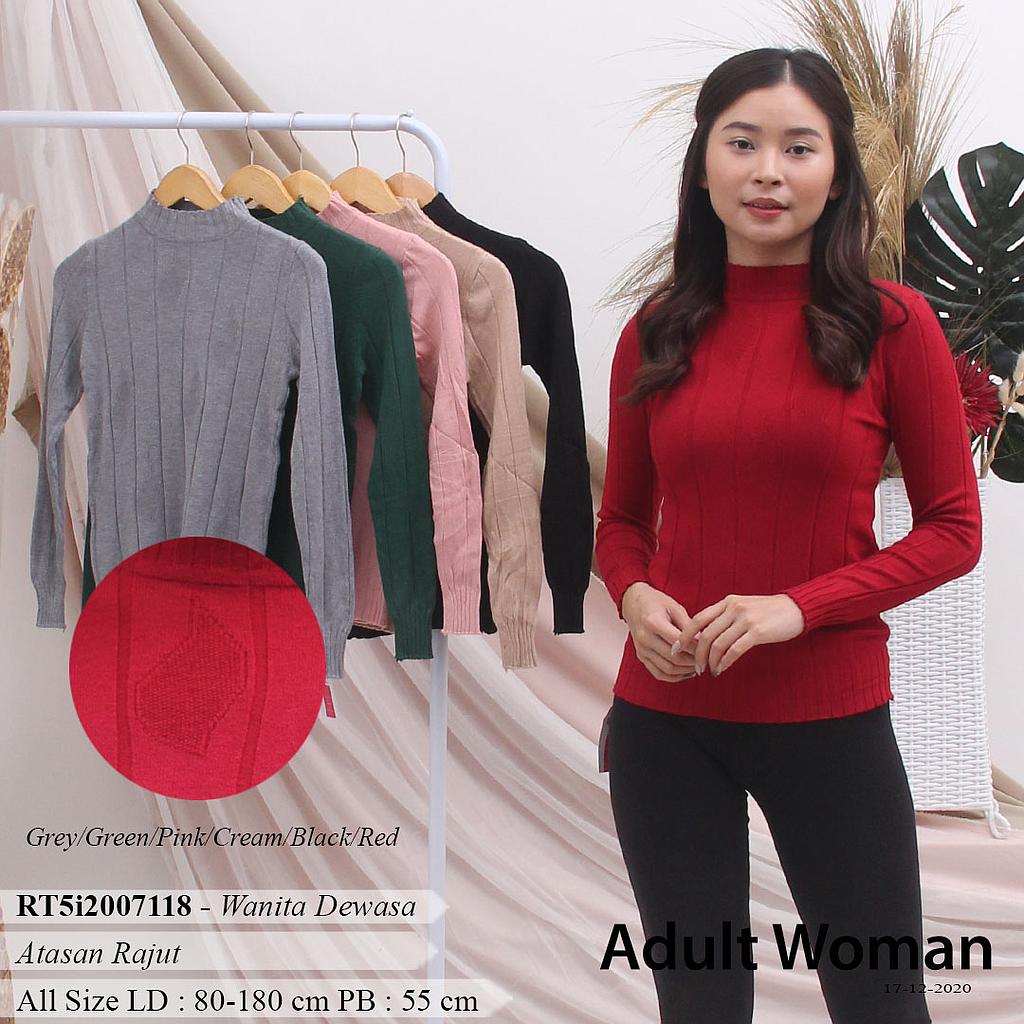 Turtle Neck Long Top