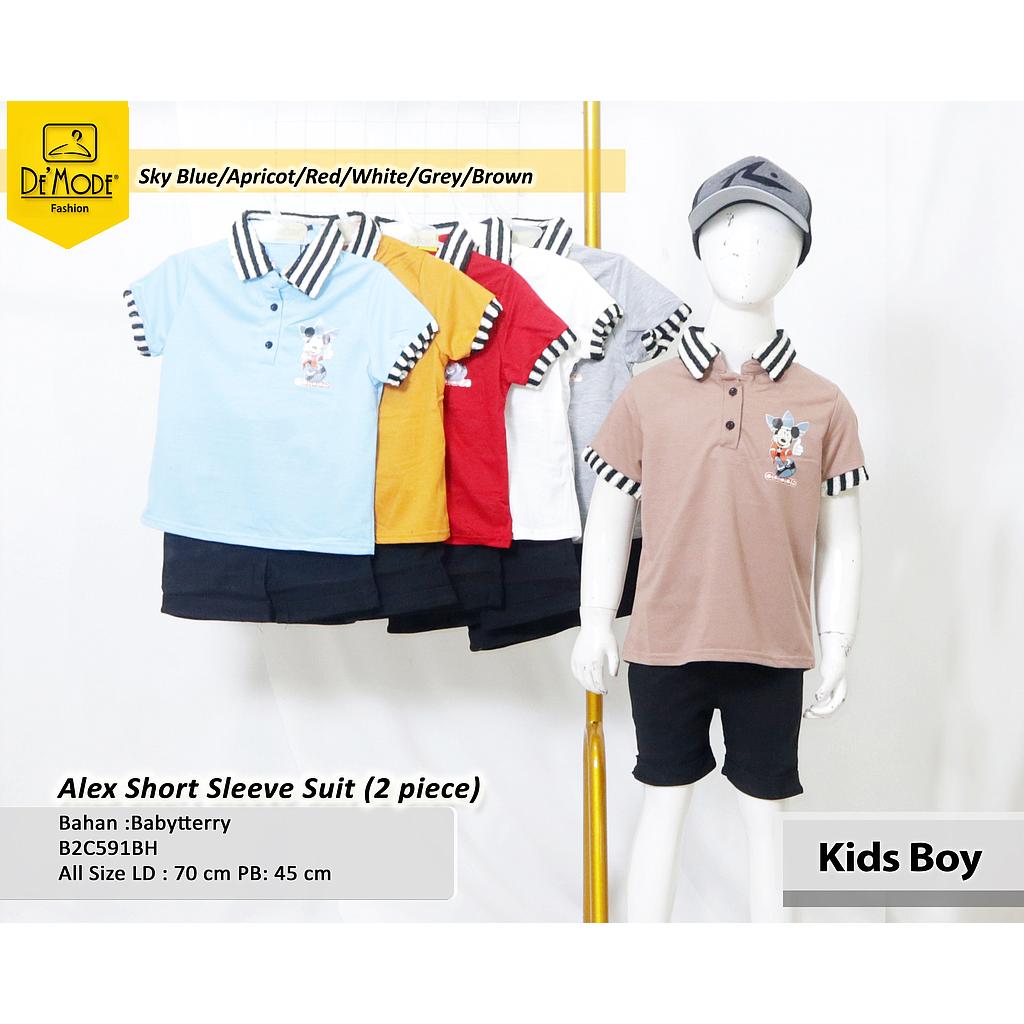 Alex short sleeve  (C591)