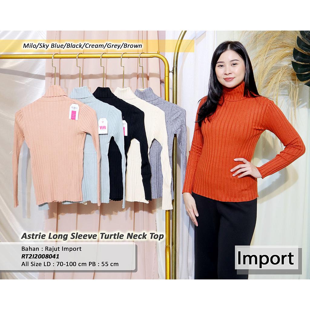 Astrie Long Sleeve Turlt Neck Top