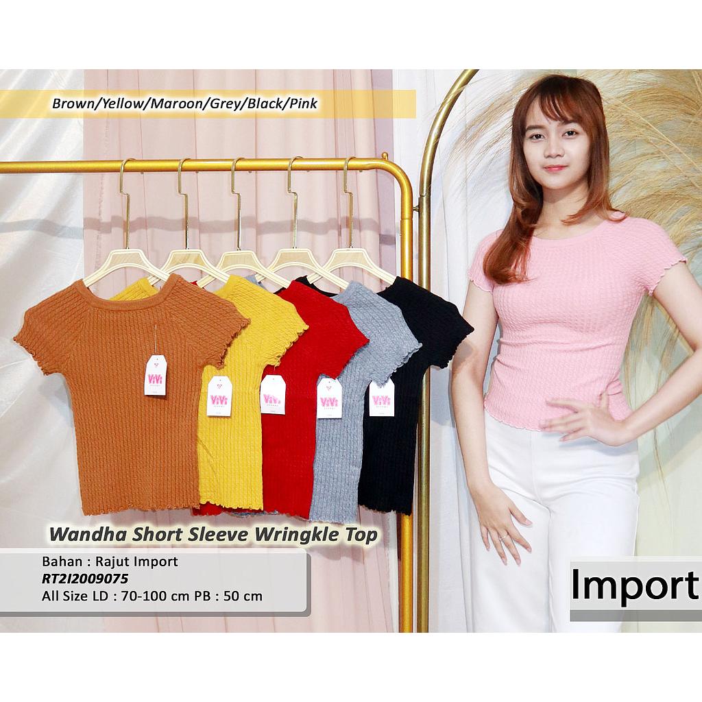 Wandha short sleeve wringkle top