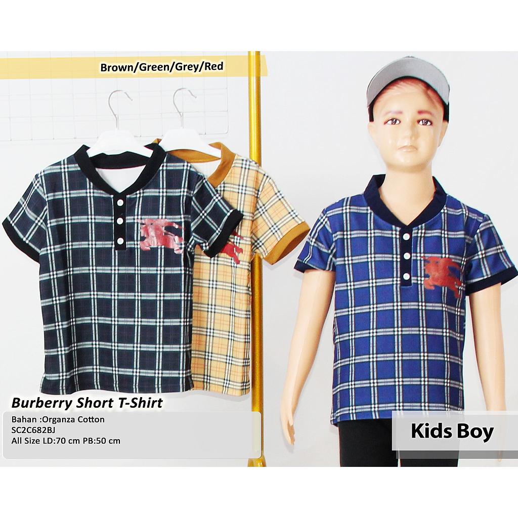 Burberry Short t-shirt (C682)