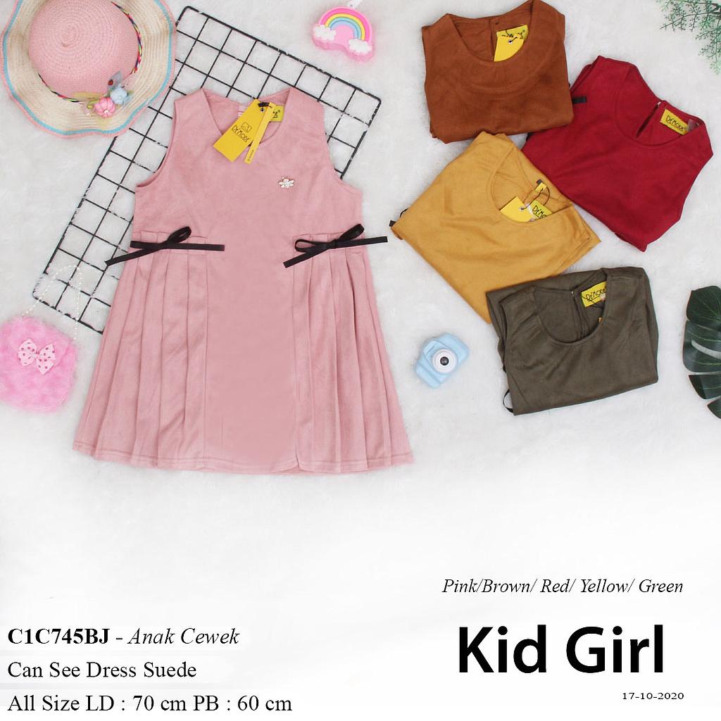 ALICIA DRESS CAN SEE POCKET PITA 