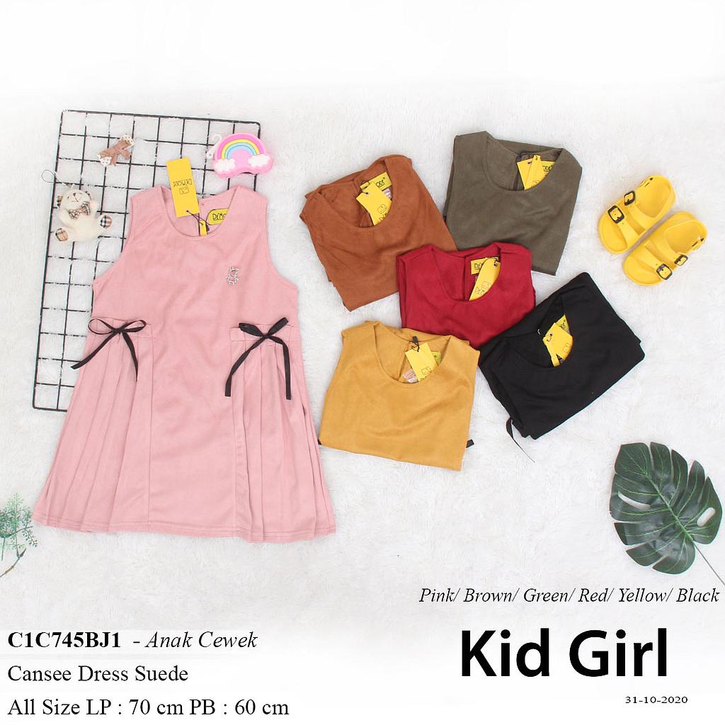ALICIA DRESS CAN SEE POCKET PITA