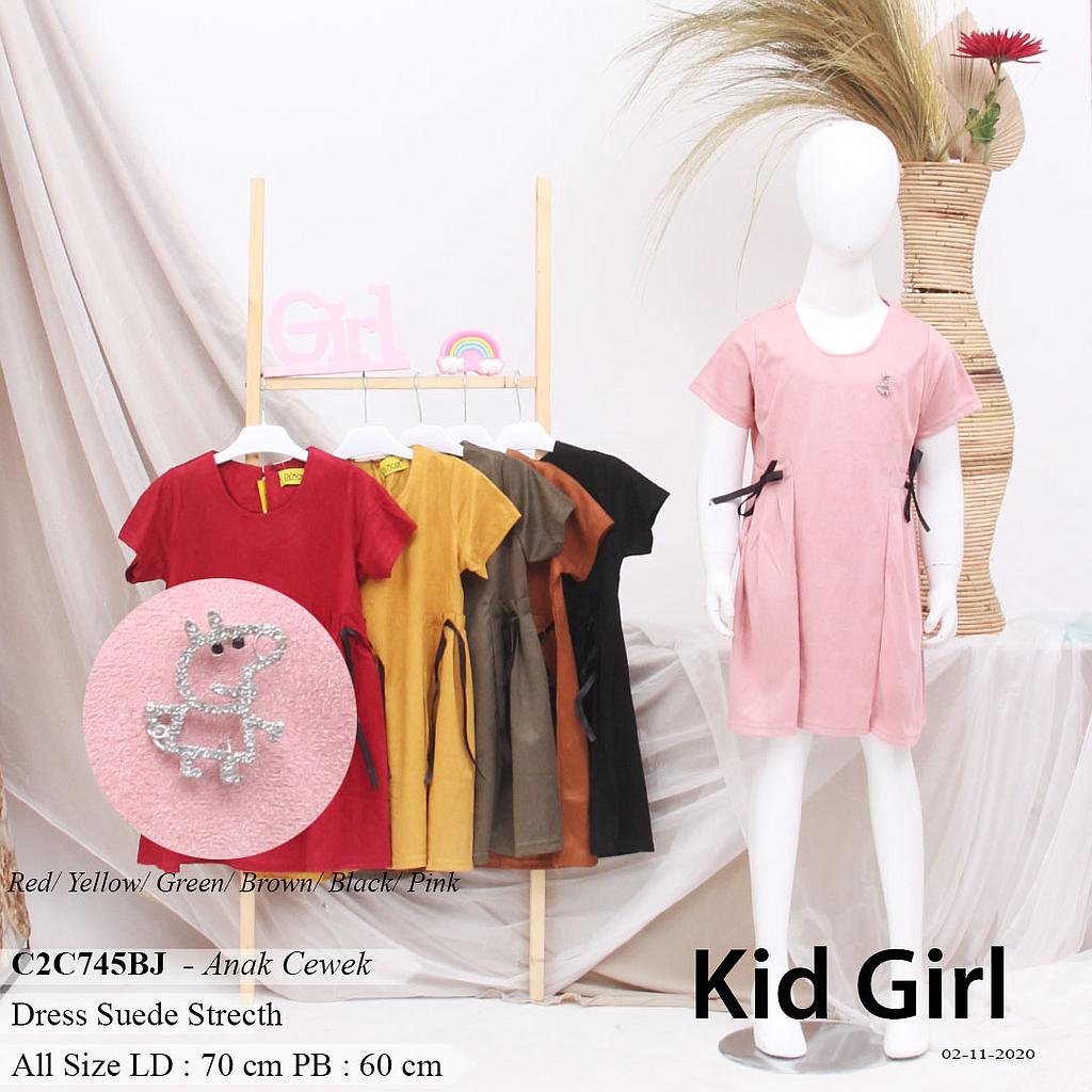 ALICIA DRESS CAN SEE POCKET PITA