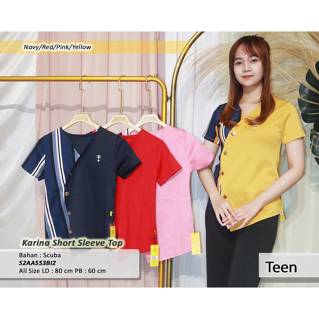Karina short sleeve top