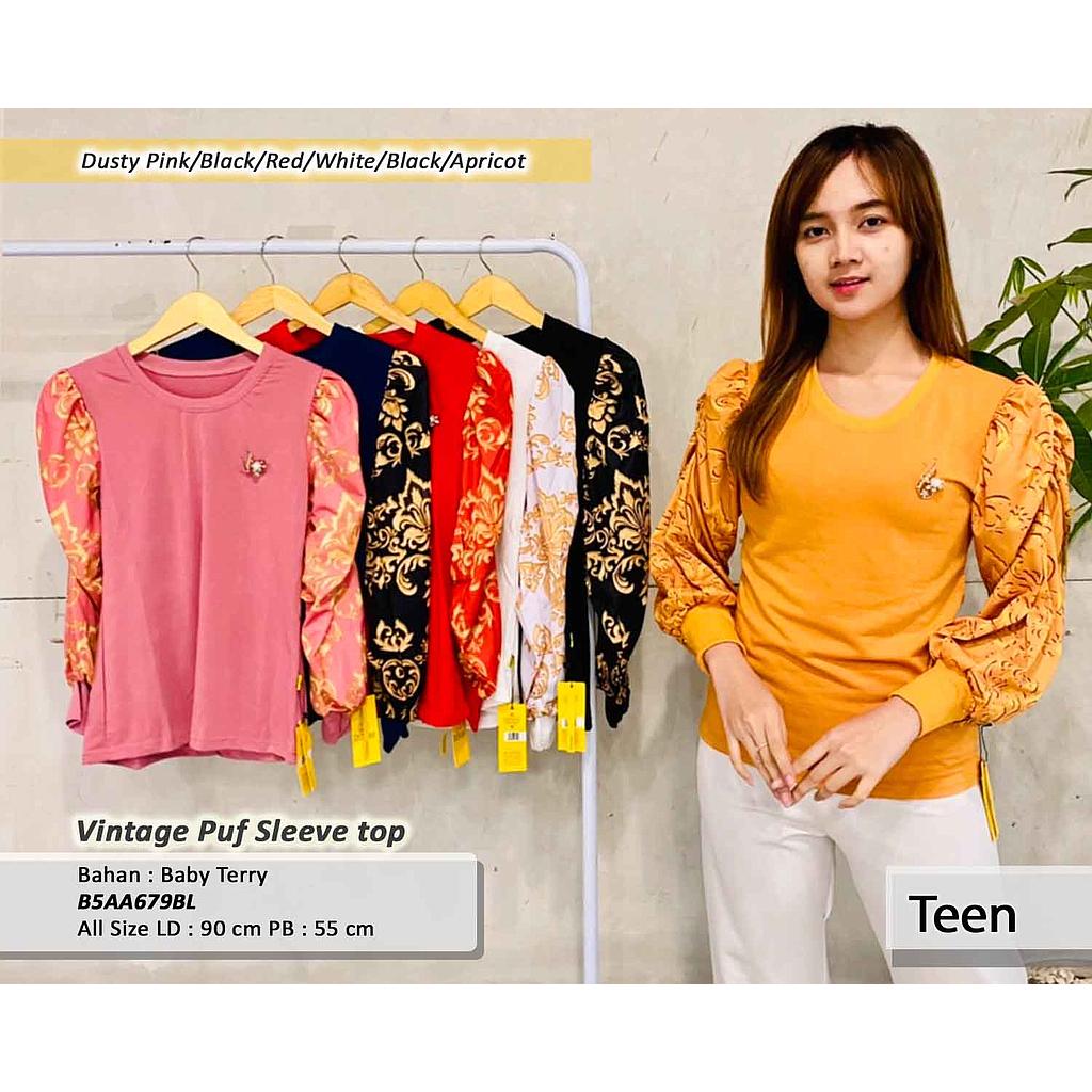 Vintage Puff sleeve top