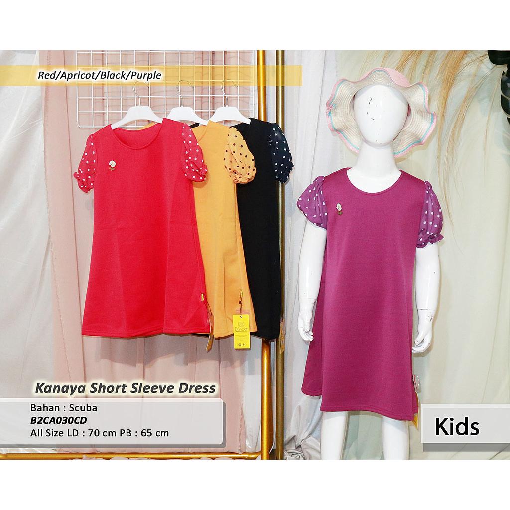 Kanaya short sleeve dress