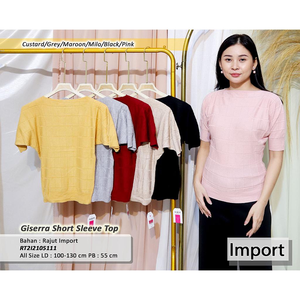 Dyana short sleeve top