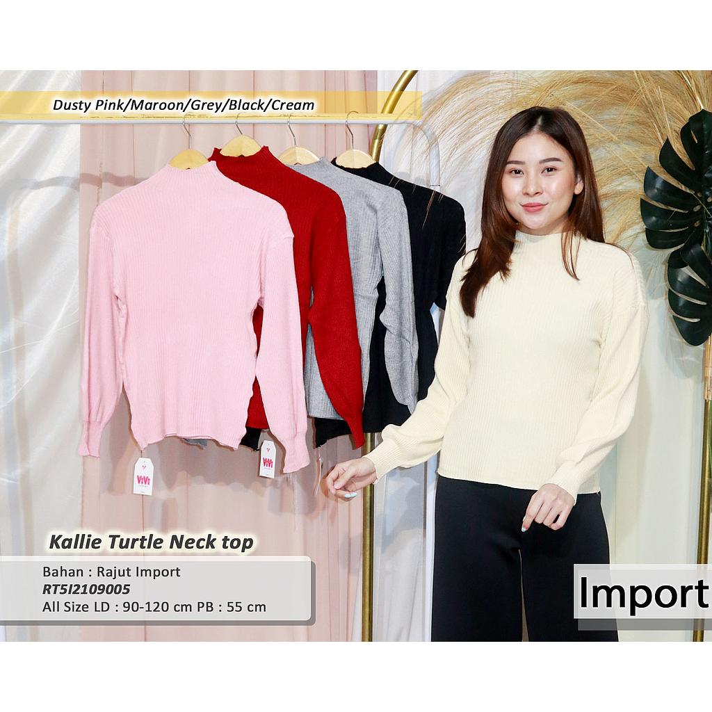 Kallie turtle neck top