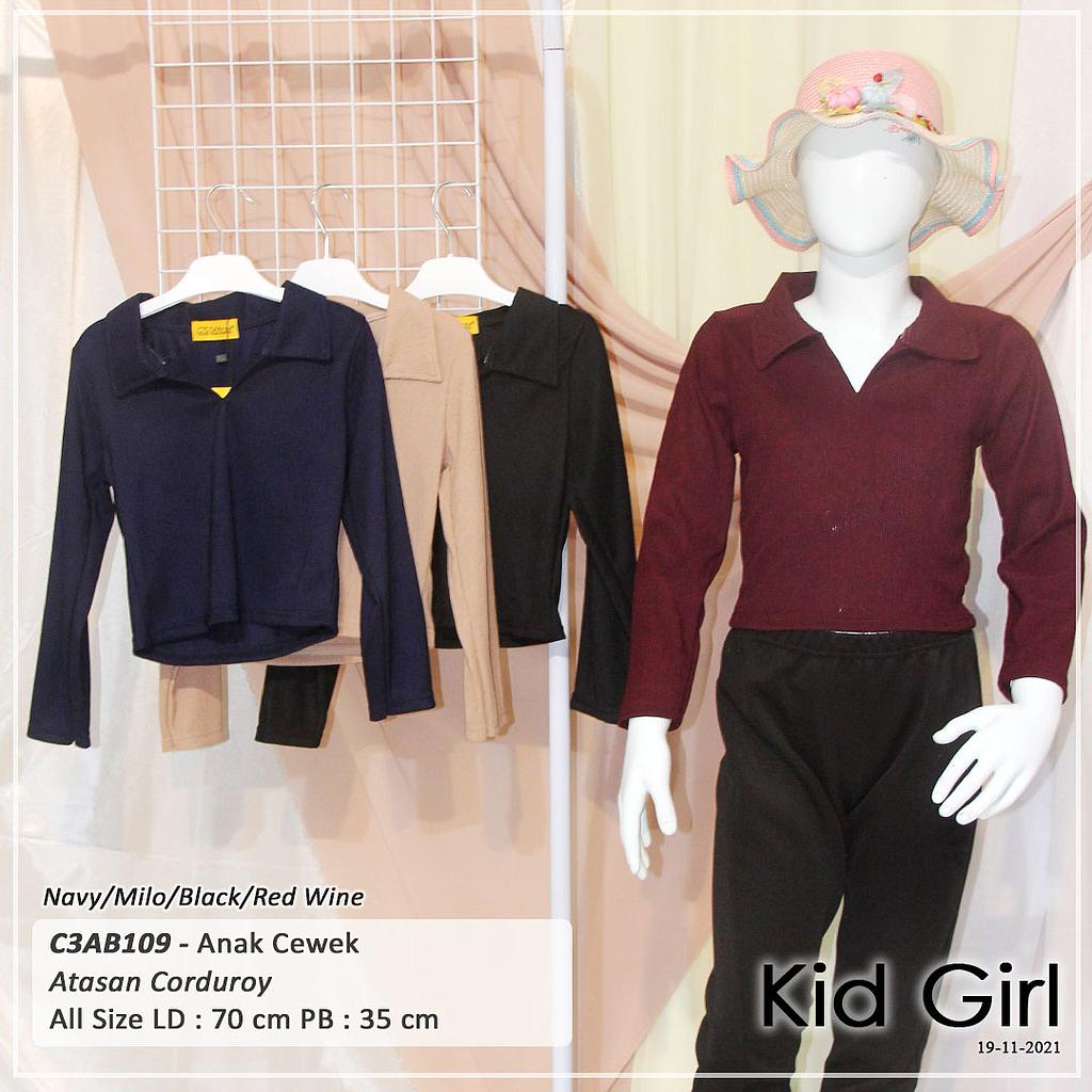 V collar Long top (AB109)