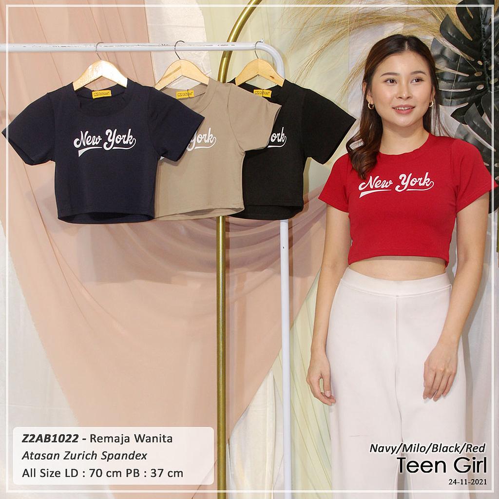 Dorothy Long sleeve Crop Top