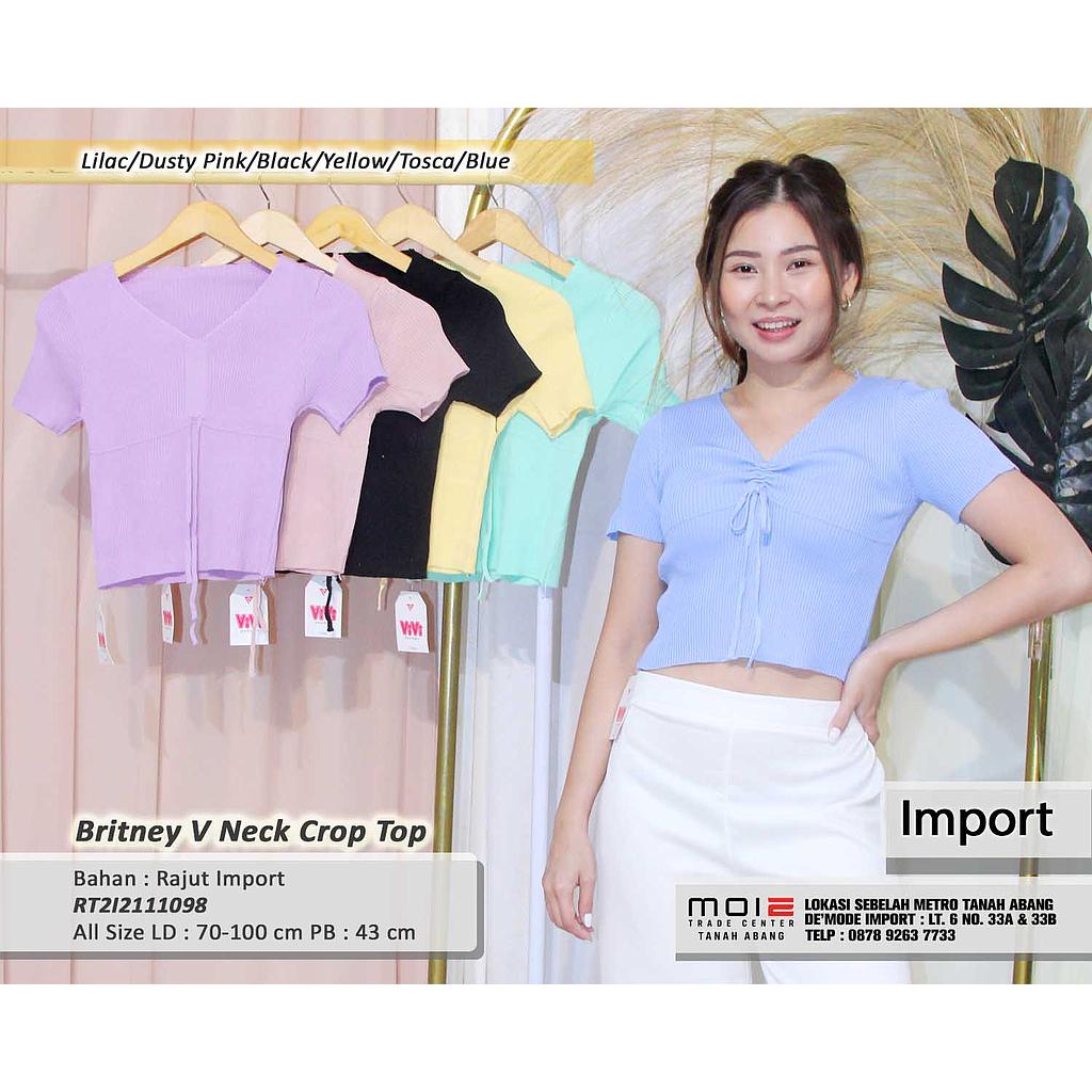 Britney V Neck Crop Top