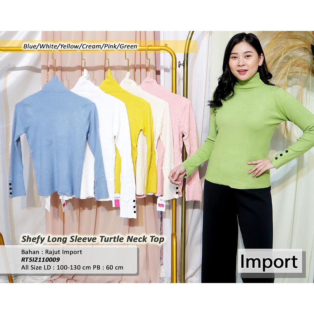 Belinda Turtle Neck long sleeve Top
