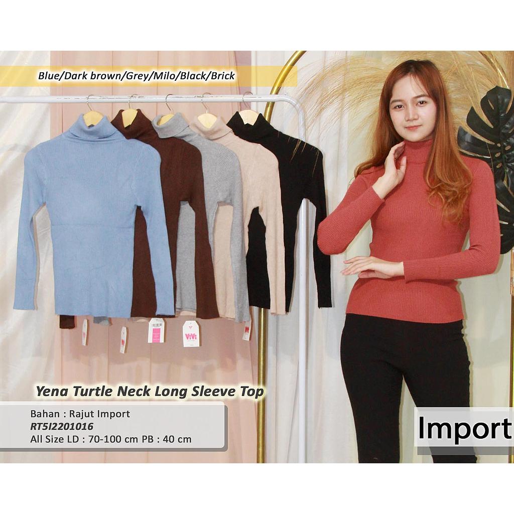 Yena Turtle Neck long sleeve top