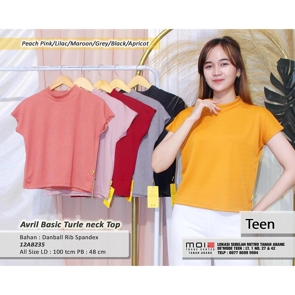 Avril Basic turtle neck Top