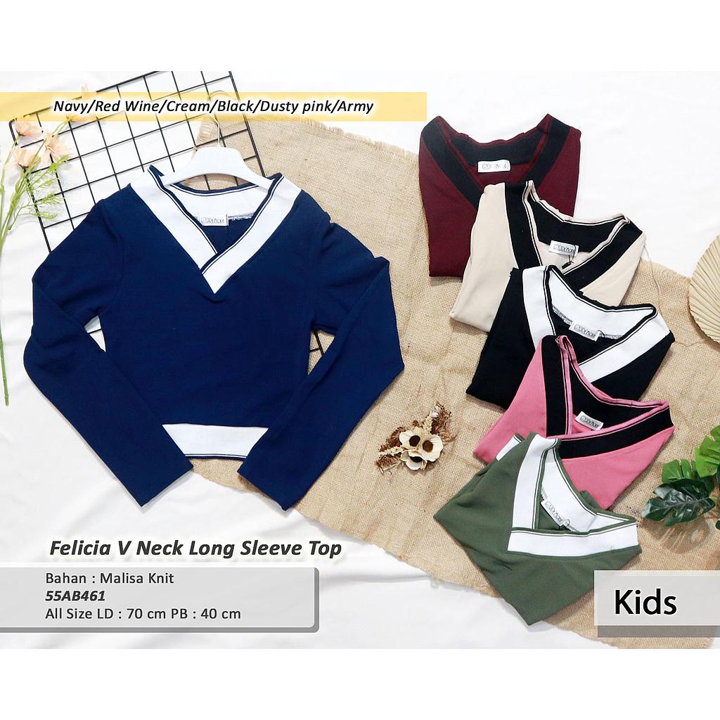 Felicia V neck long sleeve top