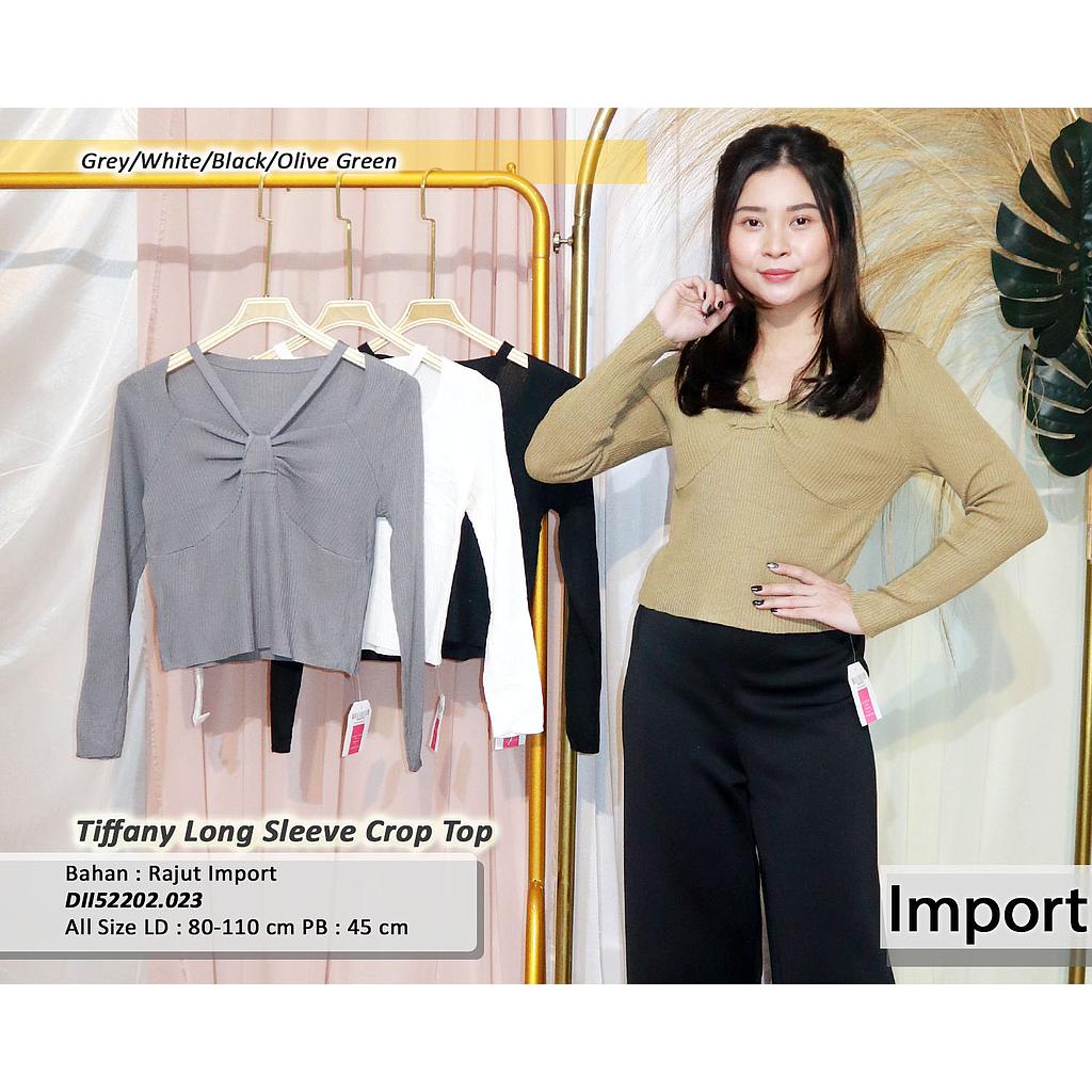 Tiffany Long sleevecropTop