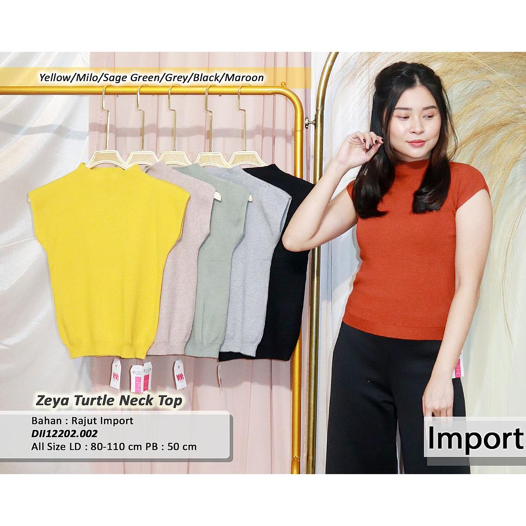 Zeya Turtle neck top