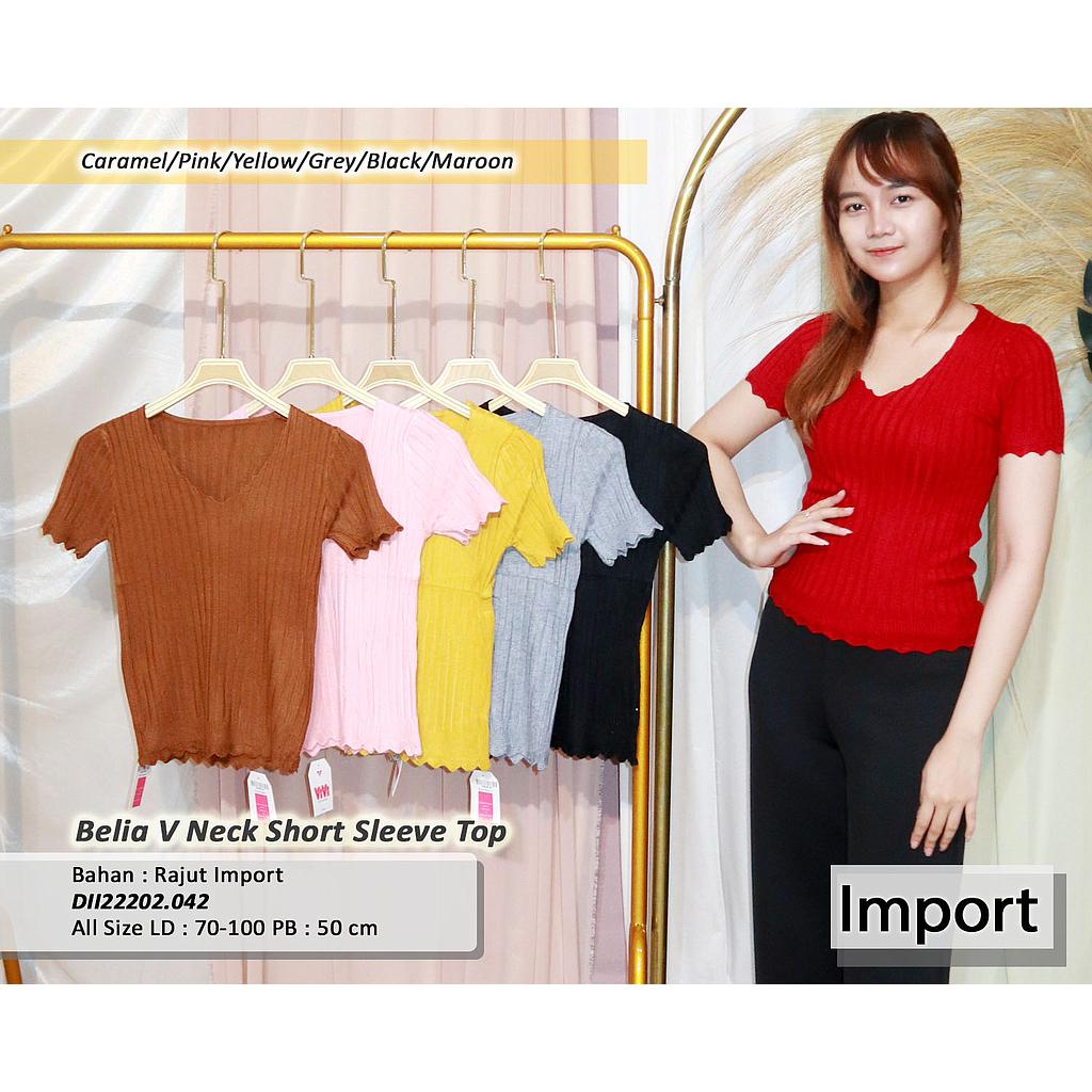 Belia V neck short sleeve top