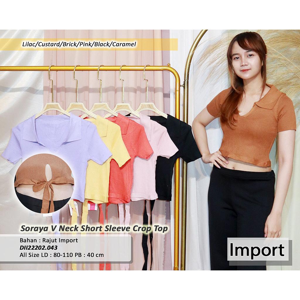 Soraya V Neck short sleeve croptop