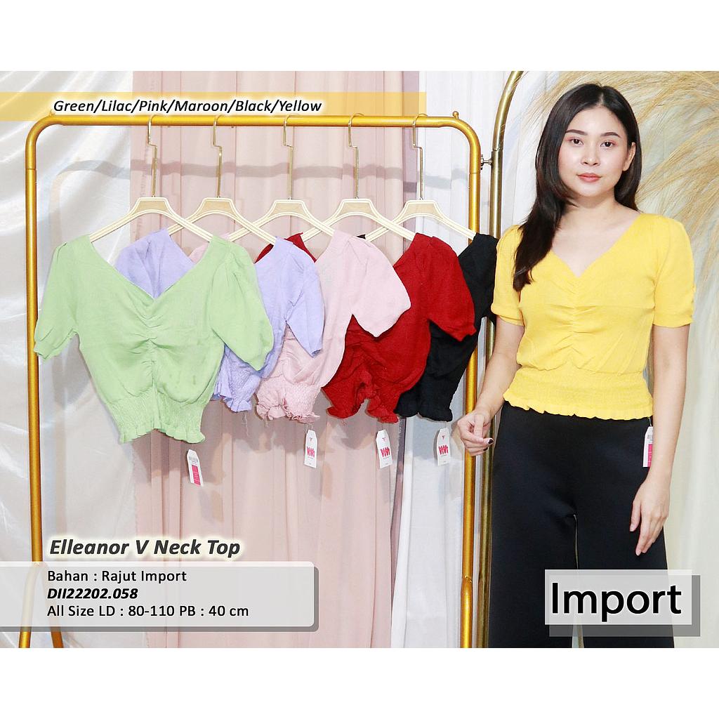 Elleanor V neck top
