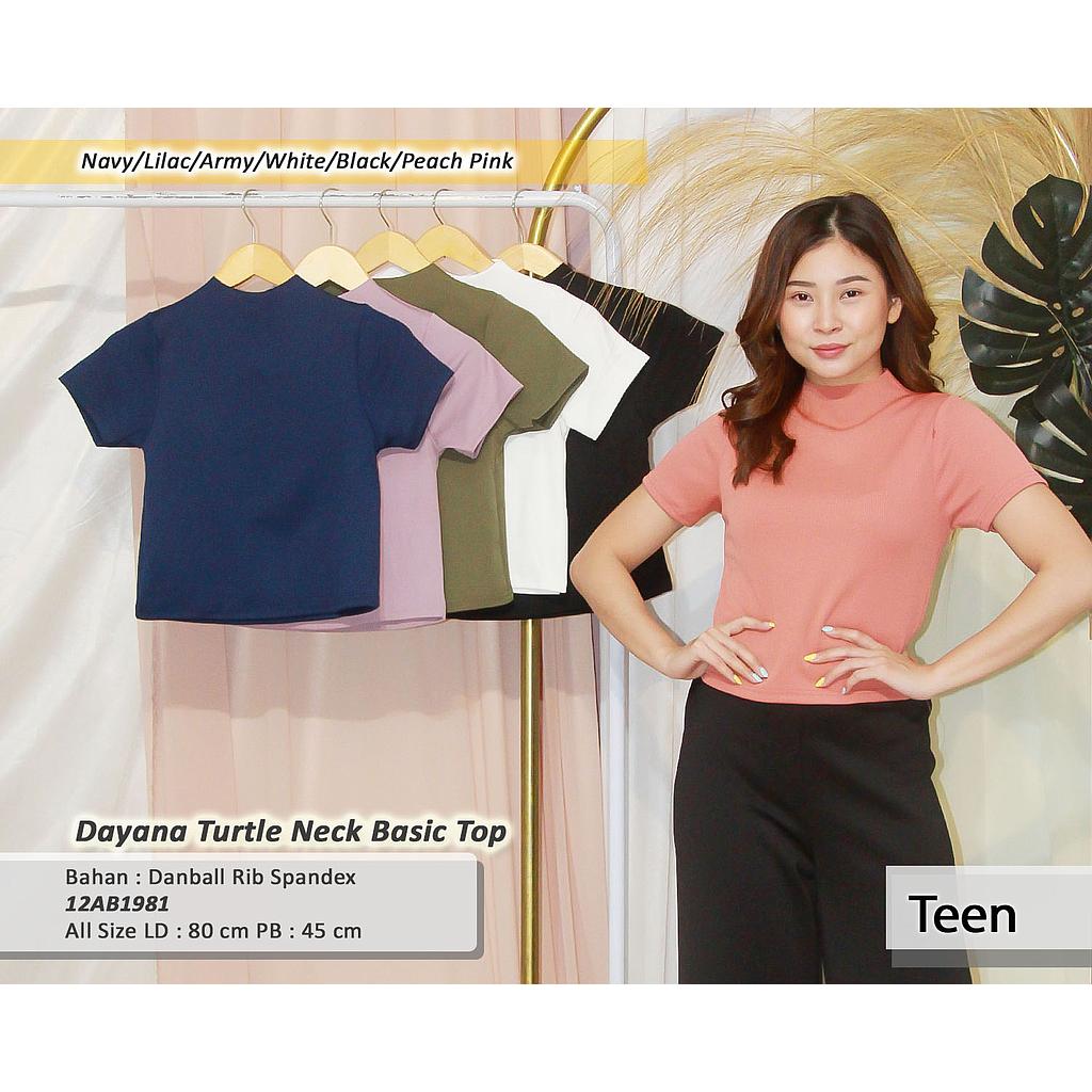 Dayana Turtle neck basic Top