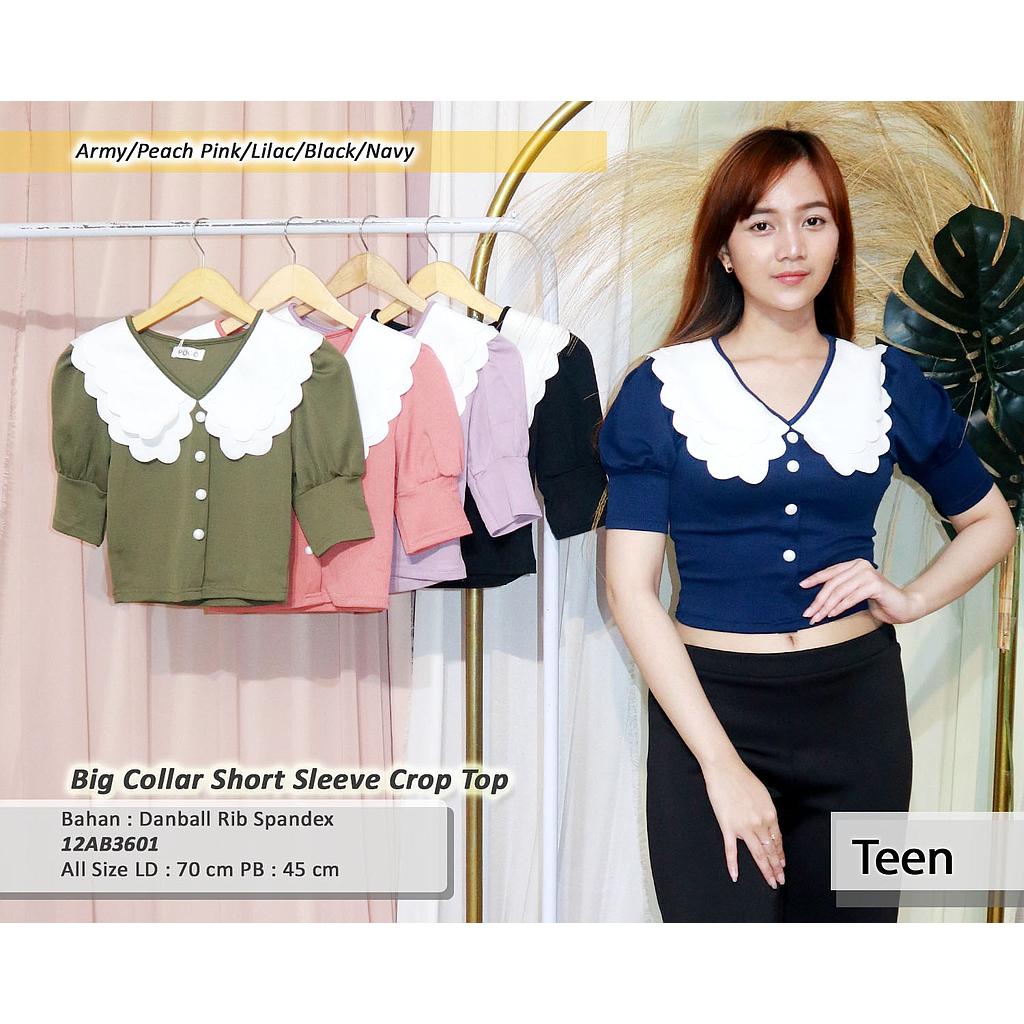 Big collar short sleeve crop top