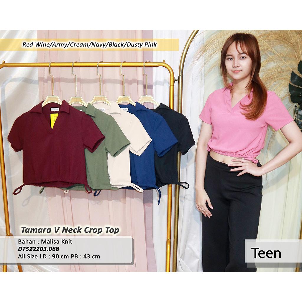 Tamara V Neck crop Top (DT.068)