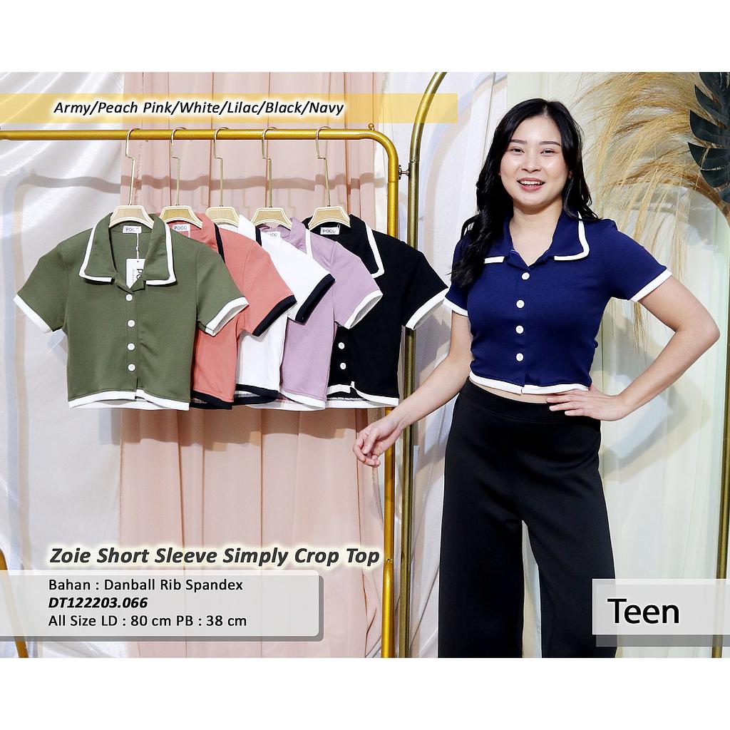Zoie Short sleeve simply crop top(DT.066)