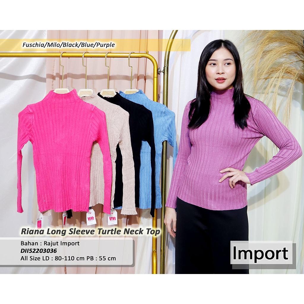 Long sleeve Turtle Neck top