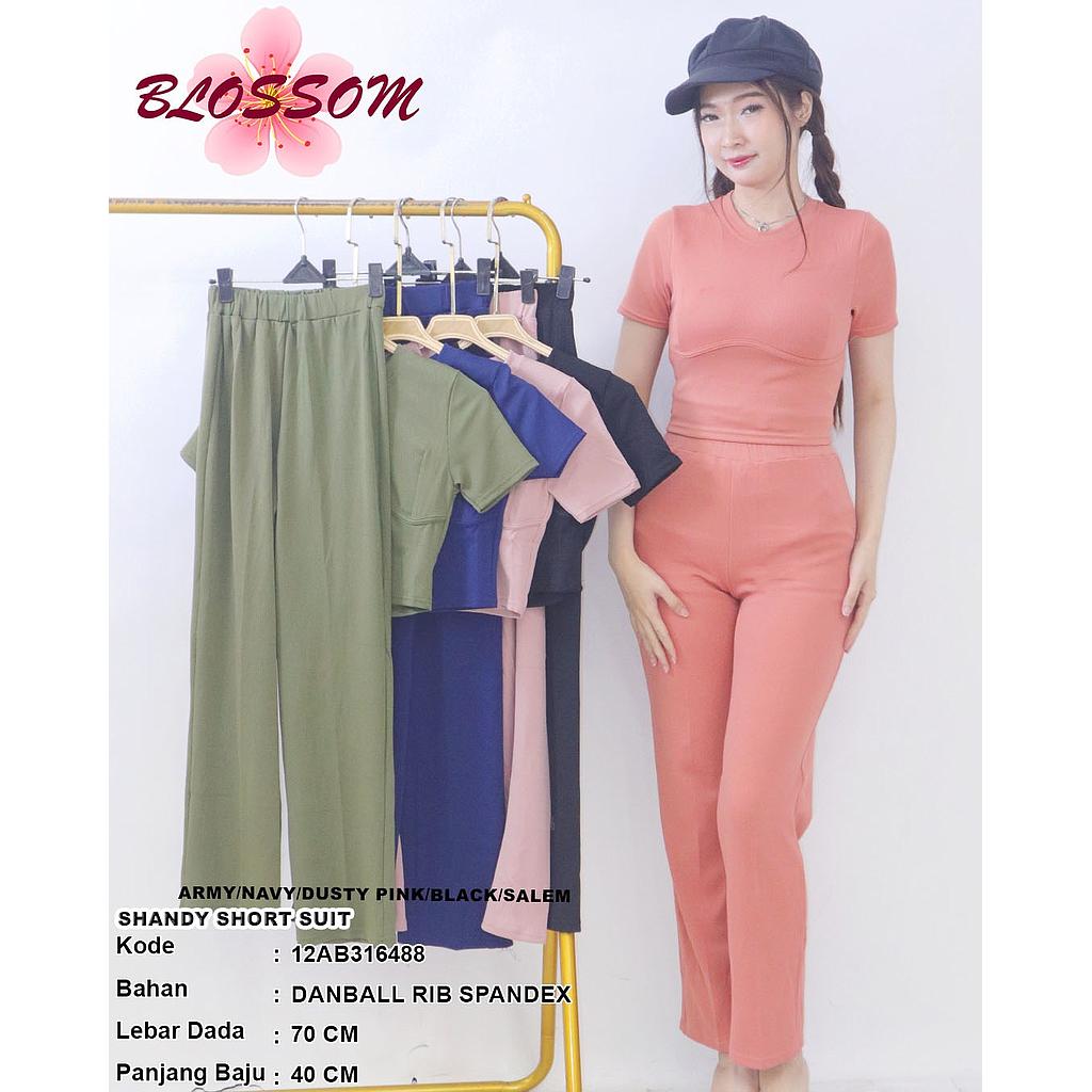 Shandy Short Suit (2 piece)