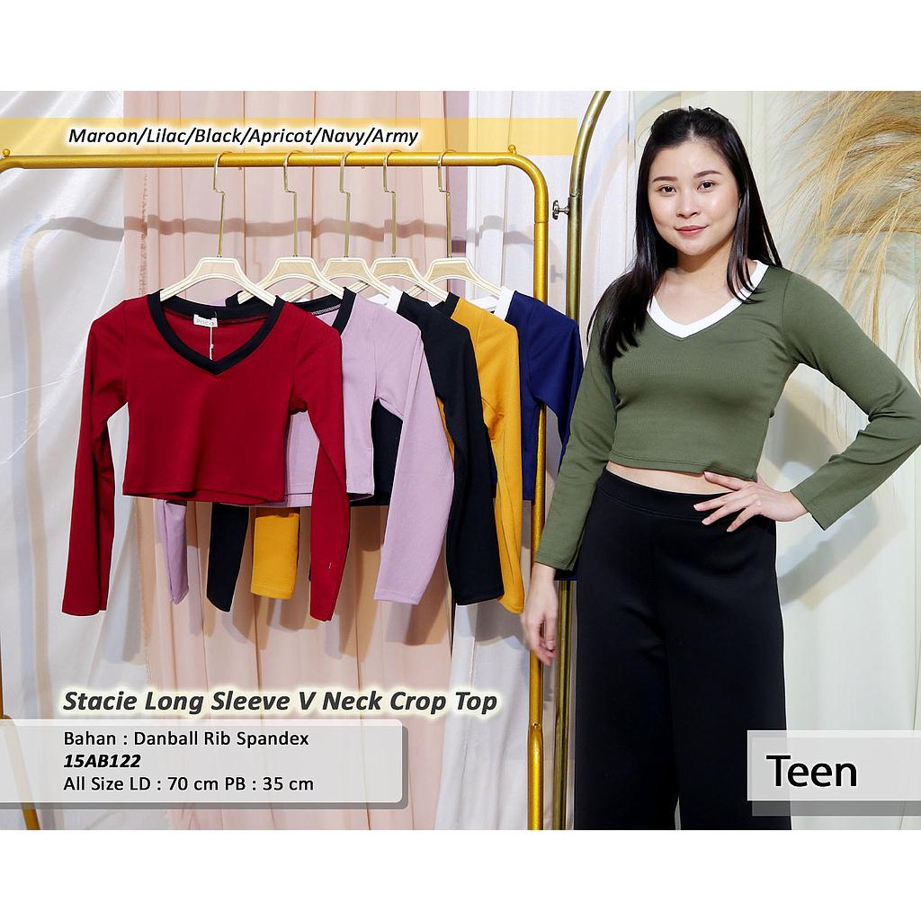 Stacie Long Sleeve V Neck Crop Top