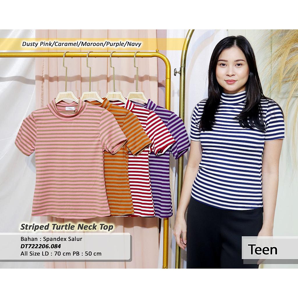 Striped Turtle Neck Top