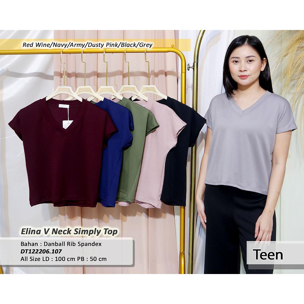 Elina V Neck Simply Top(DT.107)